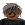 3Hawkk - Original Poster