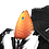 Antiquity_Spy Antiquity_Spy