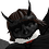 Bjarnos_Alt