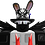 Blinx5Star