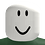 Bug_0xFF