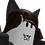 CamoCatX