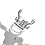 Chaasey