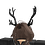 Claym1x