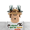 CptAesthetical CptAesthetical