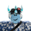 Craythrayscientist