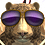 JackAtaata