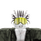 Punkalox1
