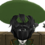 Vernlage Vernlage