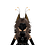 Virianwastaken