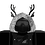 Ziggy_Dev