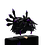 ZitDex