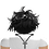 zzzvctt
